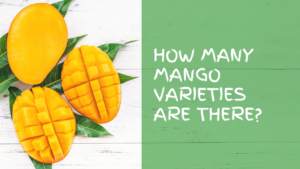 How many mango Varieties are there in Pakistan