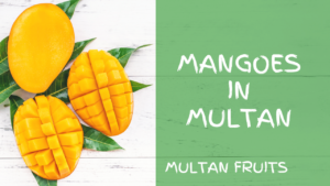 Mangoes in Multan