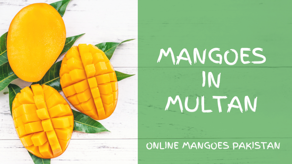 Mangoes in Multan Online