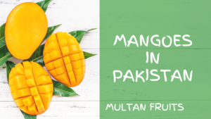 Mangoes in Pakistan
