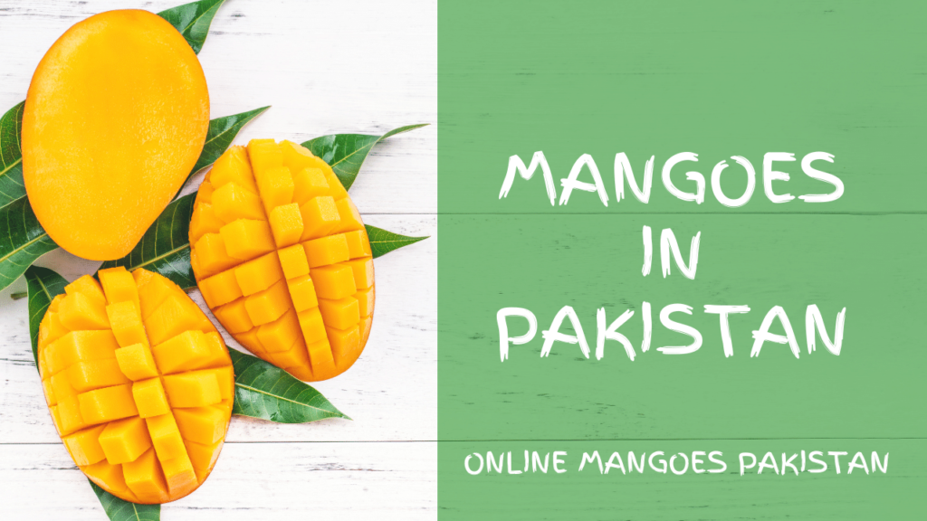 Mangoes in pakistan online