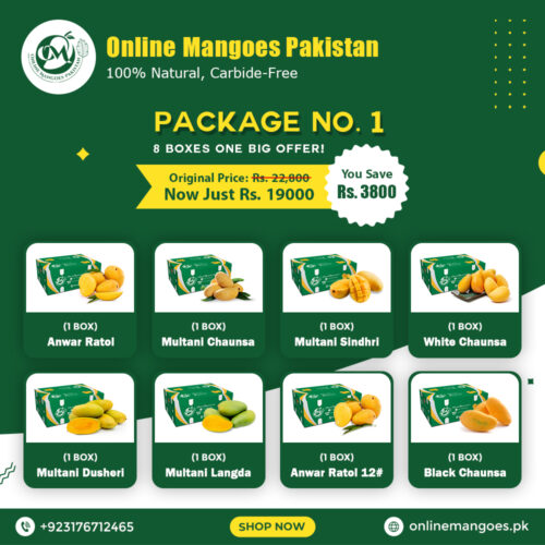 Package No. 1