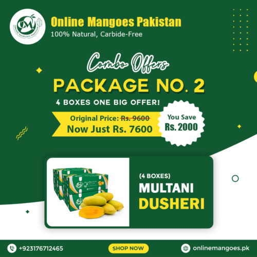 Package No. 2
