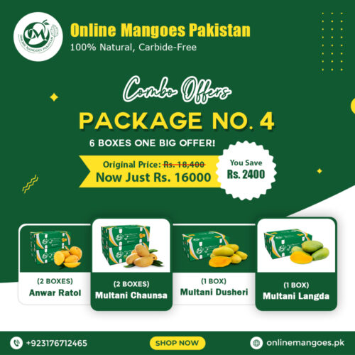 Package No. 4