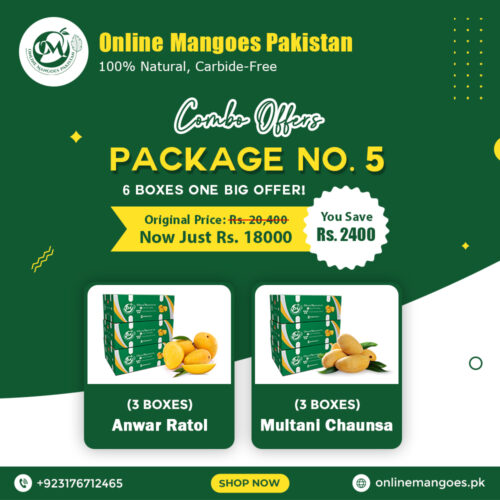 Package No. 5