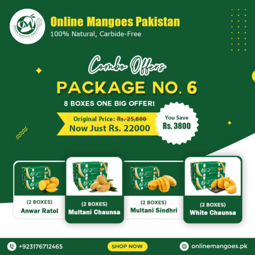 Package No. 6