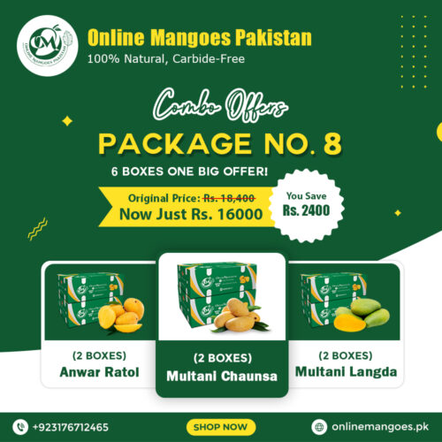 Package No. 8