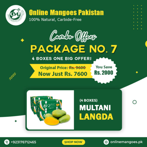 Package No. 7