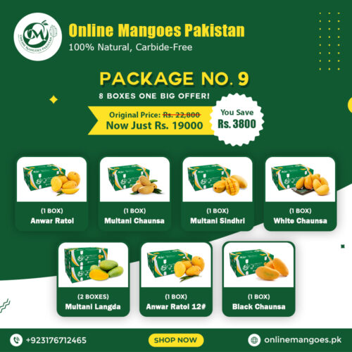 Package No. 9
