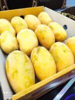 Nawabpuri White Chaunsa (Late) Mango - 8kg - Image 10