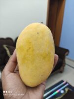 Nawabpuri White Chaunsa (Late) Mango - 8kg - Image 4