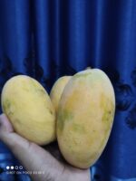 Nawabpuri White Chaunsa (Late) Mango - 8kg - Image 9