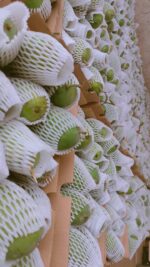 Multani Anwar Ratol 12 Number - Image 3