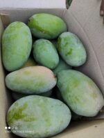 Nawabpuri White Chaunsa (Late) Mango - 8kg - Image 27