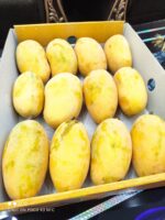 Nawabpuri White Chaunsa (Late) Mango - 8kg - Image 25