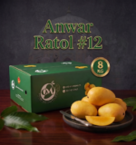 Multani Anwar Ratol 12 Number